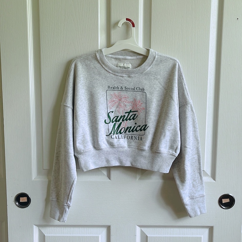 abercrombie and fitch Sweatshirt